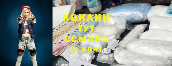 тгк Бронницы