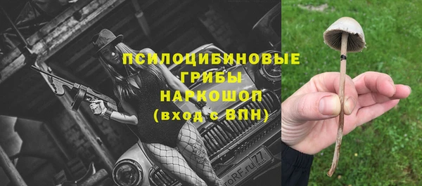 тгк Бронницы