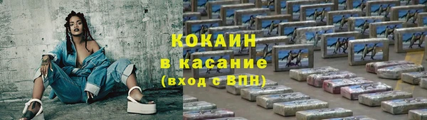 гидропоника Бородино