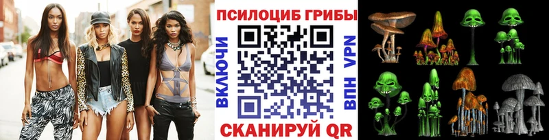 ОМГ ОМГ зеркало  где купить наркотик  Тверь  Псилоцибиновые грибы мицелий 