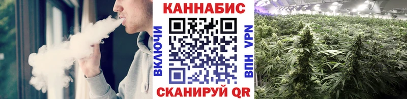 omg как зайти  Тверь  Канабис тримм  наркота 